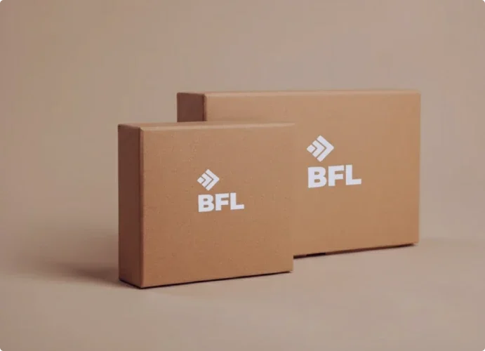 BFL Mobile Logistics: Development of a Multi-Platform IT Solution for Last Mile Delivery