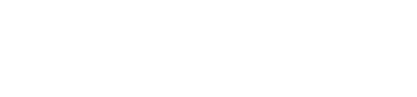 Логотип eVisa Trip